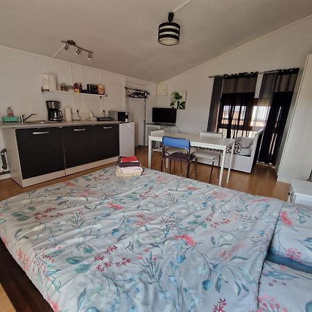 Vendegies-sur-Ecaillon Studio, Chambres, Appartement, Gite מראה חיצוני תמונה