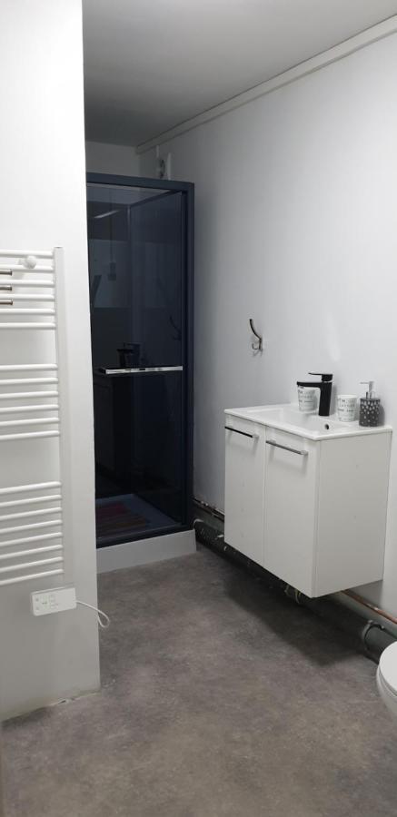 Vendegies-sur-Ecaillon Studio, Chambres, Appartement, Gite מראה חיצוני תמונה